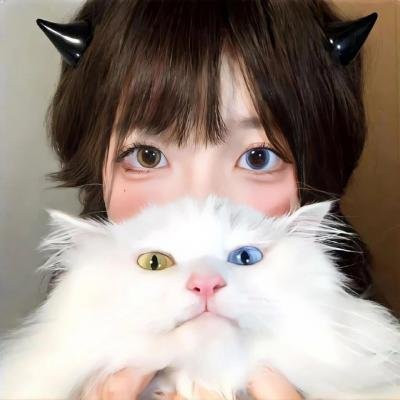 波登人生不设限 在线观看